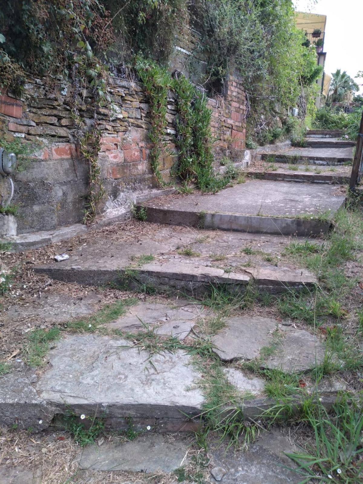 Casa Misha Tra 5 Terre E Versilia Bocca di Magra Eksteriør bilde