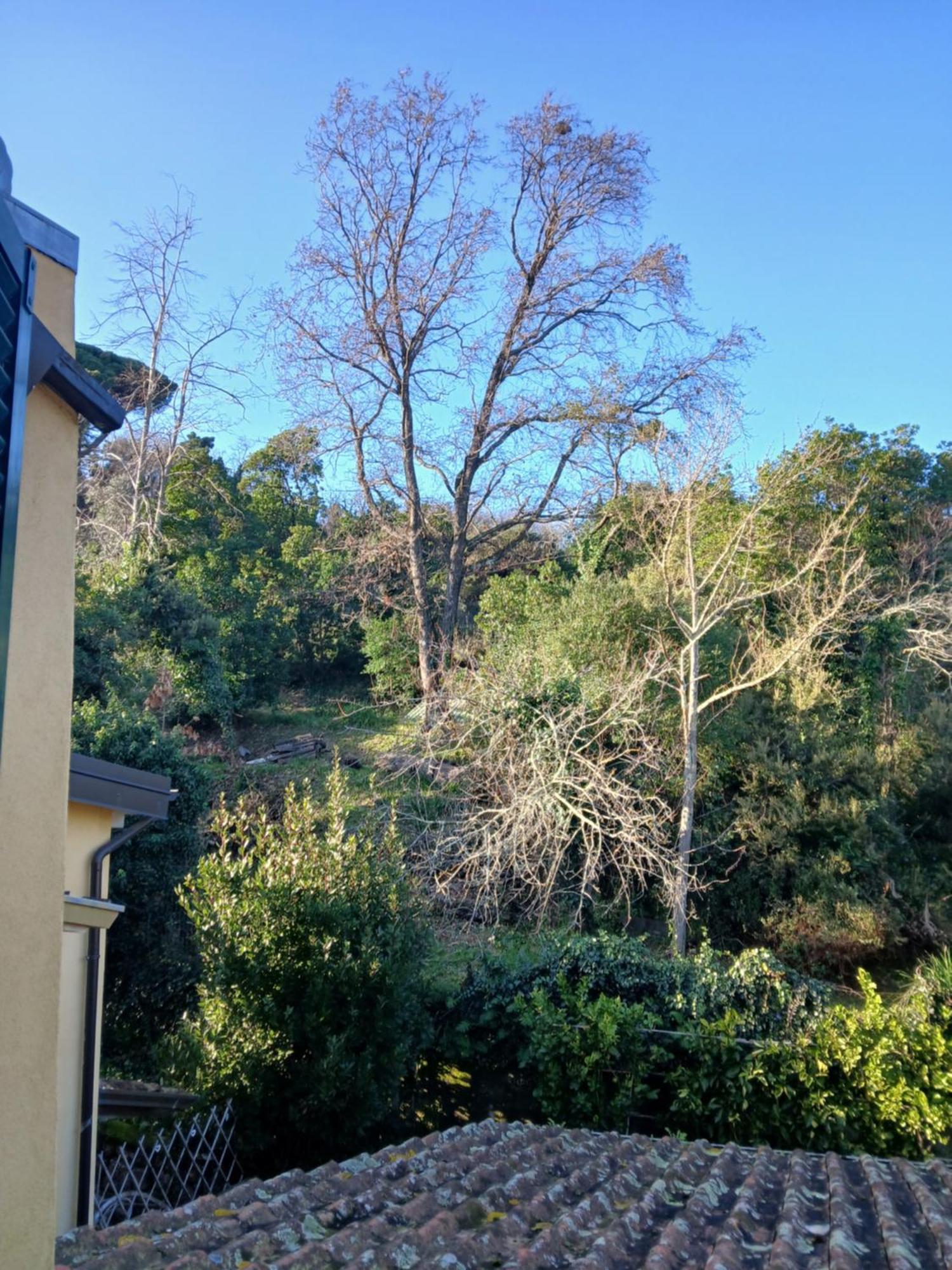 Casa Misha Tra 5 Terre E Versilia Bocca di Magra Eksteriør bilde