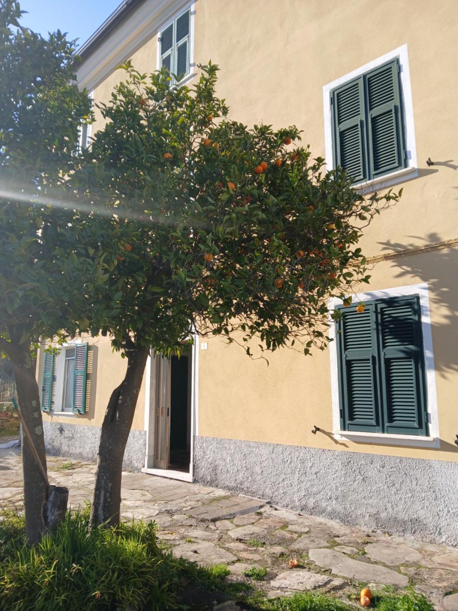 Casa Misha Tra 5 Terre E Versilia Bocca di Magra Eksteriør bilde